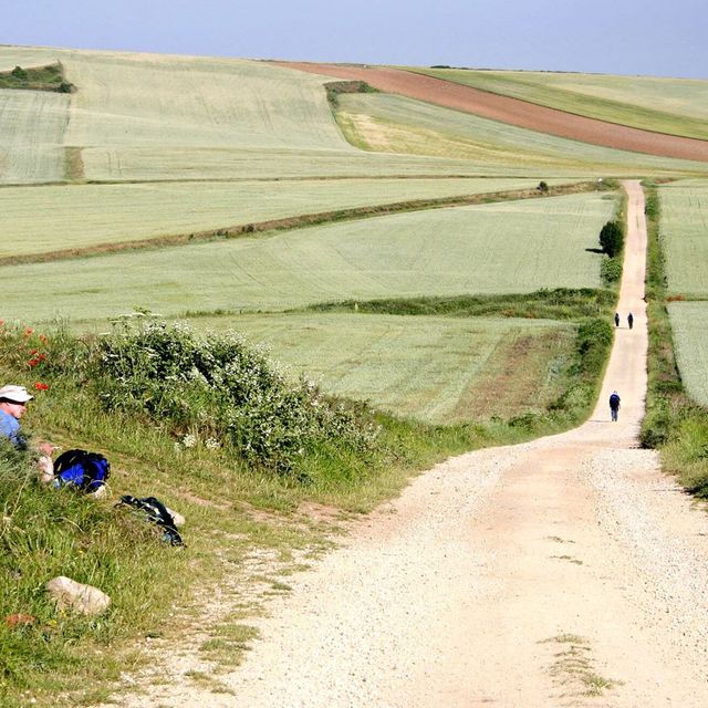 The Camino de Santiago